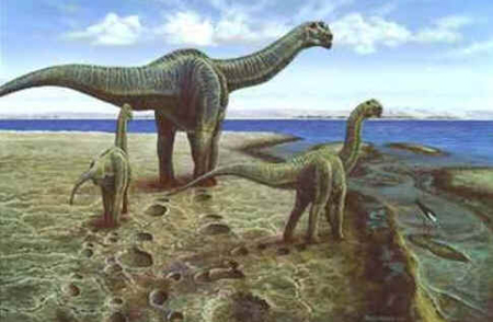 Camarassauro