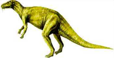 Camptossauro Camptossauro