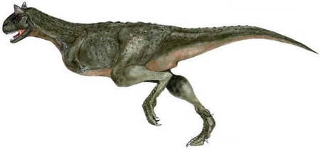 Carnotauro