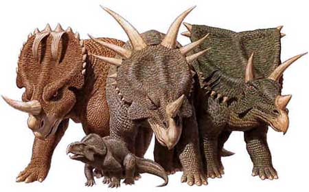 Ceratopsídeos