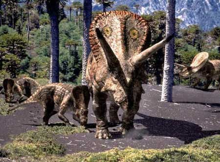 Ceratopsídeos