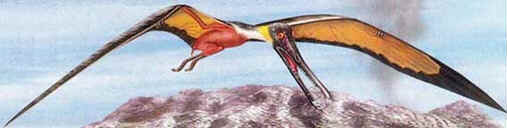 Cearadactylus