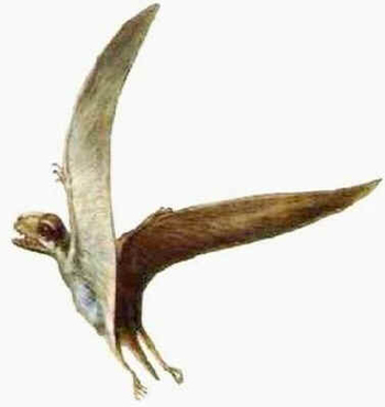 Cearadactylus
