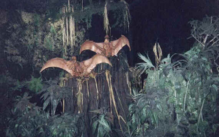 Cearadactylus