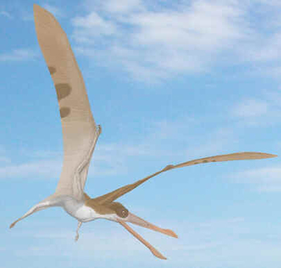 Cearadactylus