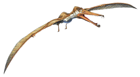 Cearadactylus