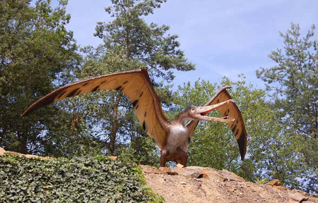 Cearadactylus