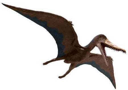 Cearadactylus