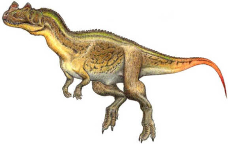 Ceratossauro Ceratossauro
