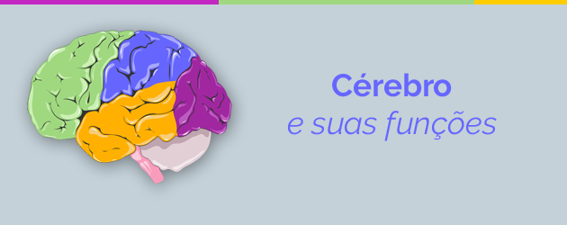 Cérebro