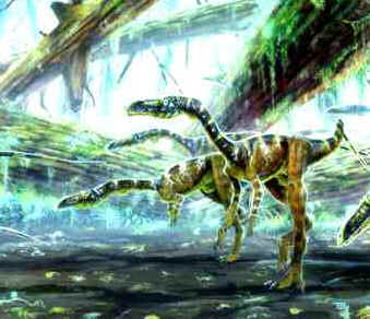 Coelophysis Coelophysis