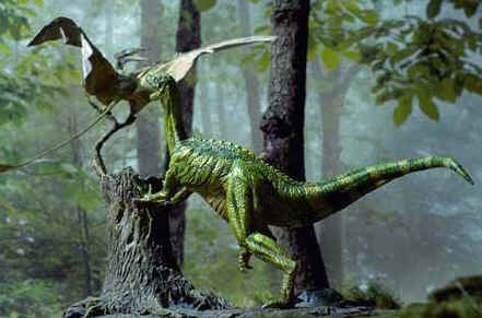 Coelurus Coelurus