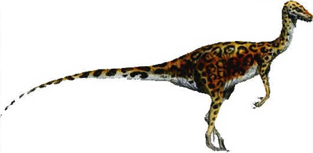 Coelurus Coelurus