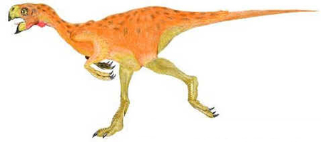 Conchoraptor Conchoraptor
