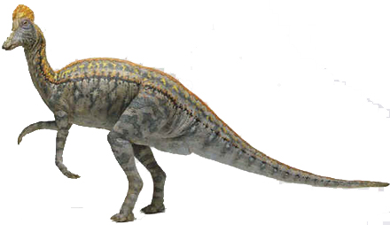 Coritossauro