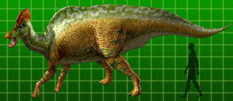 Coritossauro