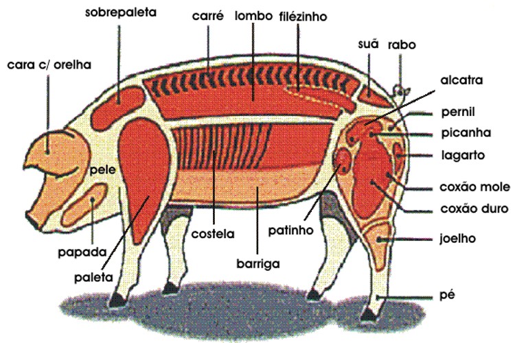 Cortes do Porco Cortes de Porco
