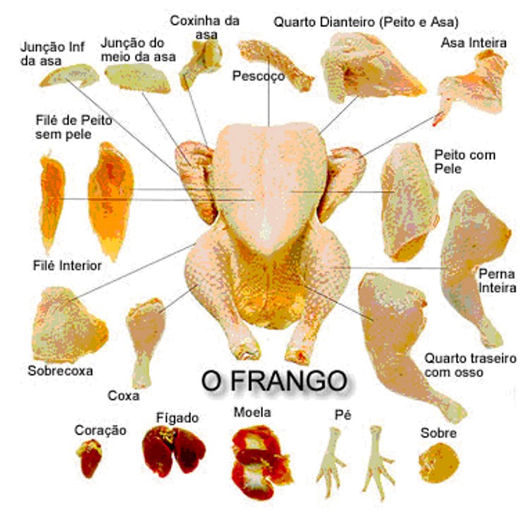 Cortes do Frango Cortes de Carnes de Frango