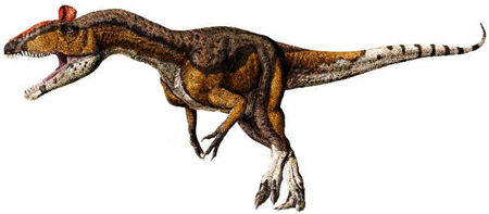 Cryolophossauro