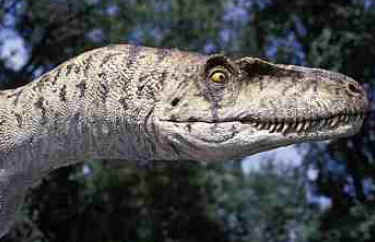 Deinonychus