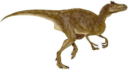 Deltadromeus