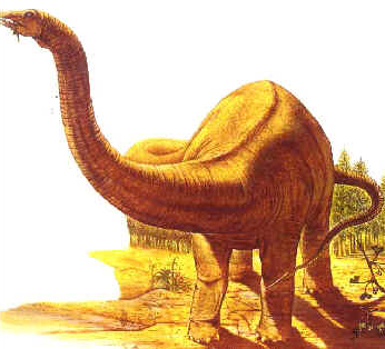 Dicraeossauro