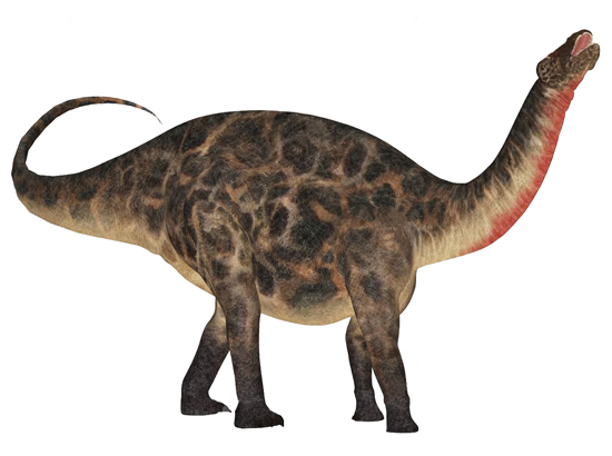 Dicraeossauro