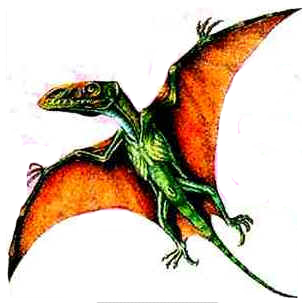 Dimorphodon