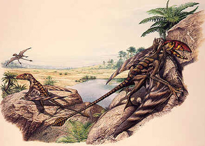 Dimorphodon