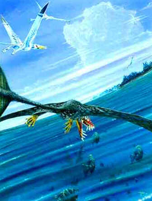 Dorygnathus