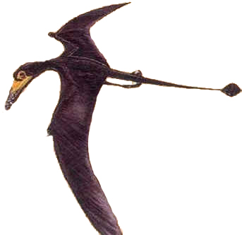 Dorygnathus