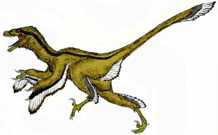 Dromeossauro