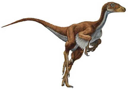 Dromeossauro