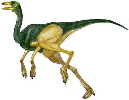 Dromiceiomimo