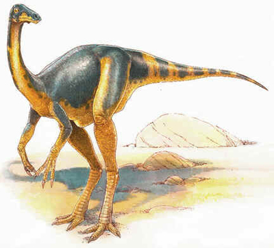 Dromiceiomimo