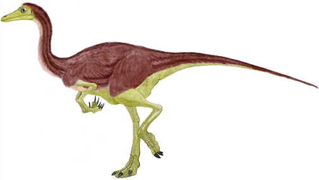 Dromiceiomimo
