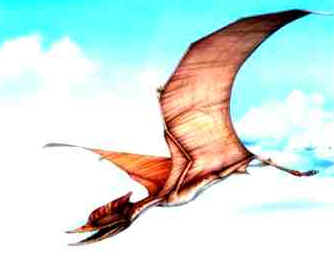 Dsungaripterus Dsungaripterus