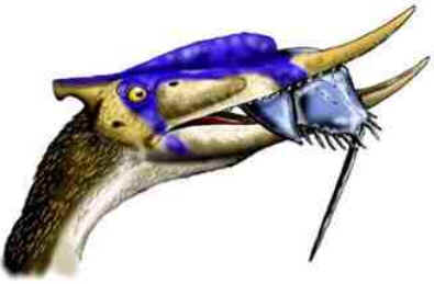 Dsungaripterus Dsungaripterus