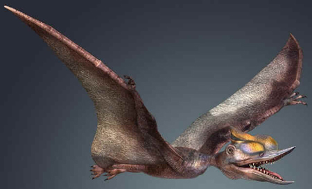 Dsungaripterus Dsungaripterus