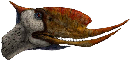 Dsungaripterus Dsungaripterus