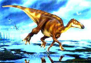Edmontossauro Edmontossauro