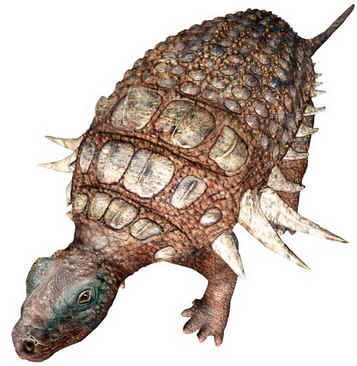 Edmontonia