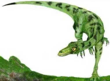 Eoraptor