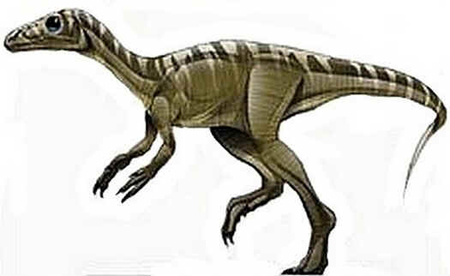 Eoraptor