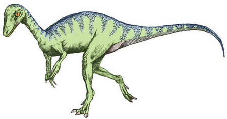Eoraptor
