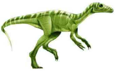 Eoraptor