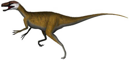 Estauricossauro Estauricossauro