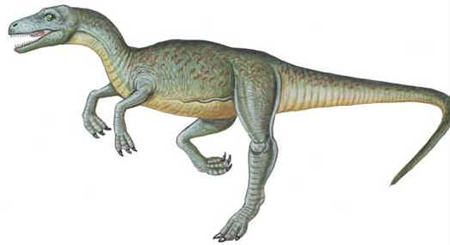 Estauricossauro Estauricossauro
