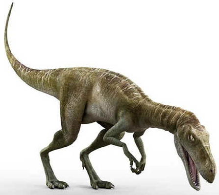 Estauricossauro Estauricossauro