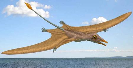 Eudimorphodon Eudimorphodon